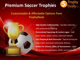 Celebrate Soccer Success with Custom Awards from Trophy Deals