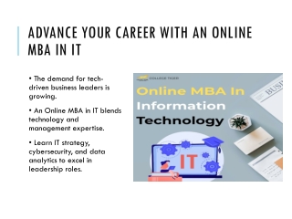 Online MBA in IT – Your Path to Success