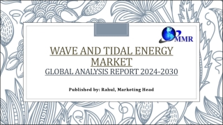 Wave and Tidal Energy Market