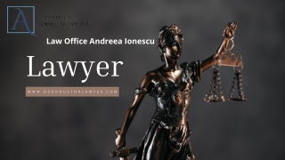 Criminal Defense Attorney in Harris County for Experienced Legal Support