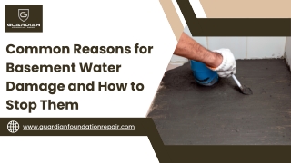 Common Reasons for Basement Water Damage and How to Stop Them