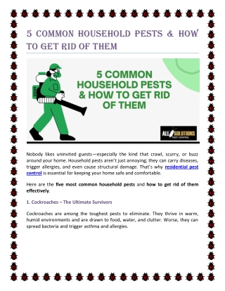 5 Common Household Pests & How to Get Rid of Them