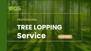 Professional Tree Lopping Service - C&S Tree Services