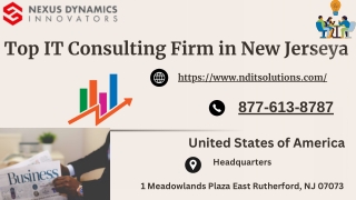 Top-IT-Consulting-Firm-in-New-Jerseya