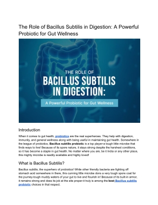 The Role of Bacillus Subtilis in Digestion A Powerful Probiotic for Gut Wellness