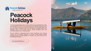 Kashmir Awaits 6-Day Tour Package for Unforgettable Memories