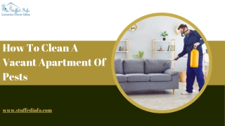 How To Clean A Vacant Apartment Of Pests