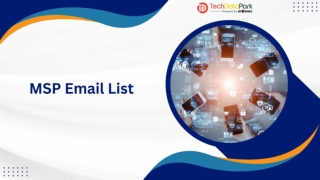 MSP Email List