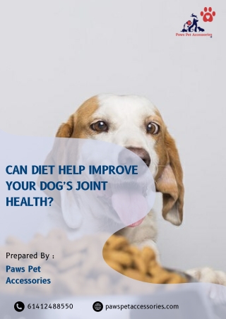 Can Diet Help Improve Your Dog’s Joint Health