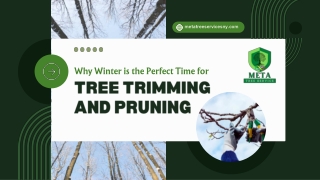 Why Winter is the Perfect Time for Tree Trimming and Pruning
