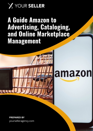 A Guide Amazon to Advertising, Cataloging, and Online Marketplace Management