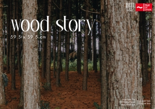 Explore Timex Ceramic's Wood Story Collection | Authentic Wood-Look Ceramic Til