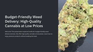 Budget weed delivery Hamilton