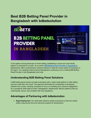 Best B2B Betting Panel Provider in Bangladesh with bdbetsolution