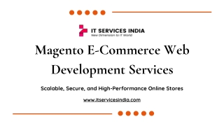 Magento E-Commerce Web Development Services