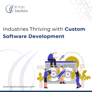 Industries Thriving with Custom Software Development | IT Path Solutions