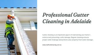 Professional Gutter Cleaning in Adelaide  Real Fresh Cleaning