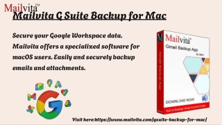 Quickly Export Emails from Google Workspace with Mailvita Software