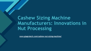 Cashew Sizing Machine Manufacturers_ Innovations in Nut Processing