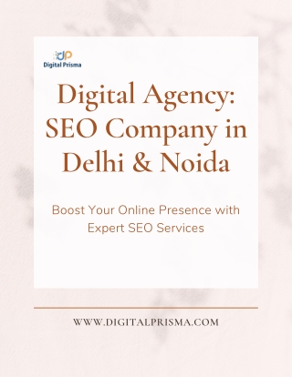 SEO Company in Delhi & Noida