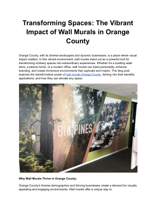 Transforming Spaces: The Vibrant Impact of Wall Murals in Orange County