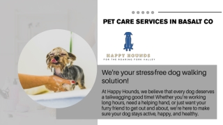 Pet Care Services in Basalt CO