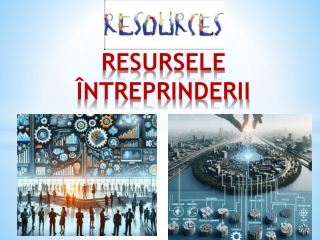 Resursele întreprinderii