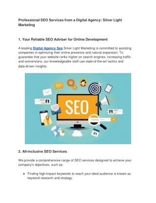 Professional SEO Services from a Digital Agency_ Silver Light Marketing