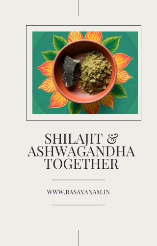The Synergy of Shilajit and Ashwagandha: Unlocking Extraordinary Health Benefits