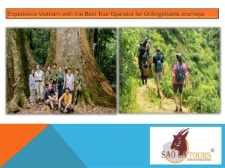 Experience Vietnam with the Best Tour Operator for Unforgettable Journeys