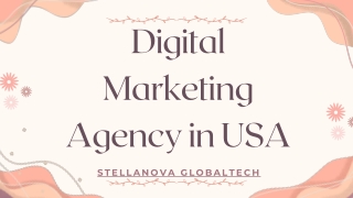 Digital arketing Agency in USA | Stellanova GlobalTech