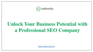 Nethority - Digital Marketing Services In India