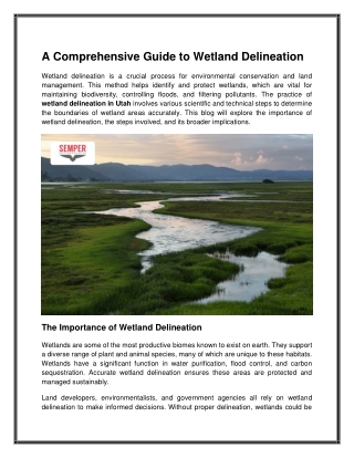 Need Wetland Delineation in Utah Contact Our Specialists