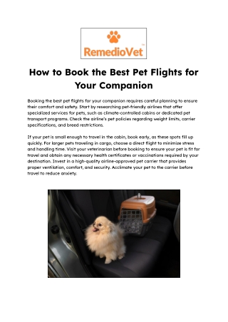 How to Book the Best Pet Flights for Your Companion