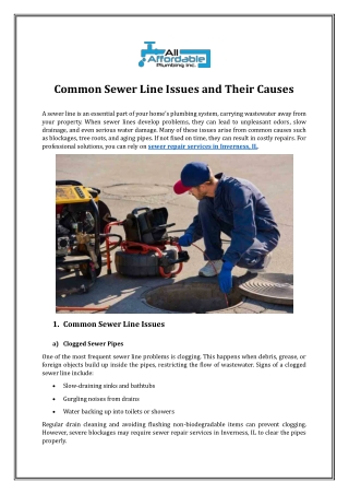 Common Sewer Line Issues and Their Causes