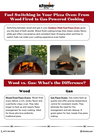 Fuel Switching in Your Pizza Oven From Wood-Fired to Gas-Powered Cooking -  ilFornino