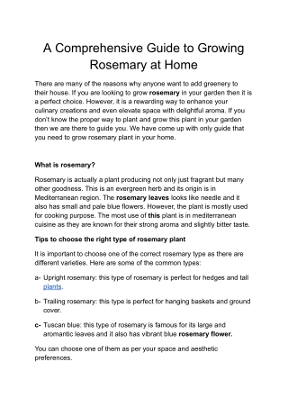 Growing Rosemary at Home Complete Guide for Beginners