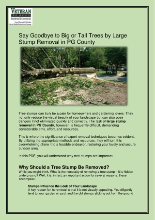 Say Goodbye to Big or Tall Trees by Large Stump Removal in PG County