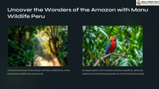 Manu Tours from Puerto Maldonado | Explore the Amazon Rainforest