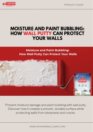 Moisture and Paint Bubbling How Wall Putty Can Protect Your Walls