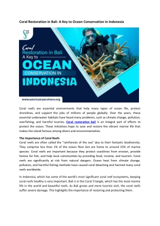 Coral Restoration in Bali A Key to Ocean Conservation in Indonesia