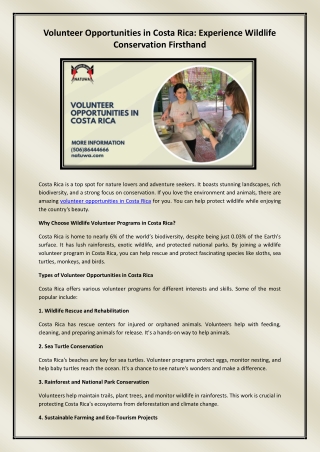Volunteer opportunities in costa Rica