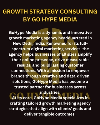 GoHype Media – Transforming Growth with Expert Business Development Strategy