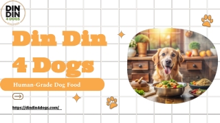 Din Din 4 Dogs -Human-Grade Dog Food