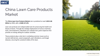 China Lawn Care Products Market