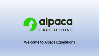 Unforgettable Inca Trail Trek with Alpaca Expeditions