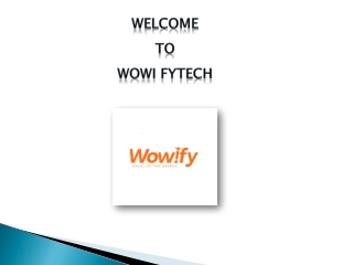 SEO Work in BC | Wowi Fytech