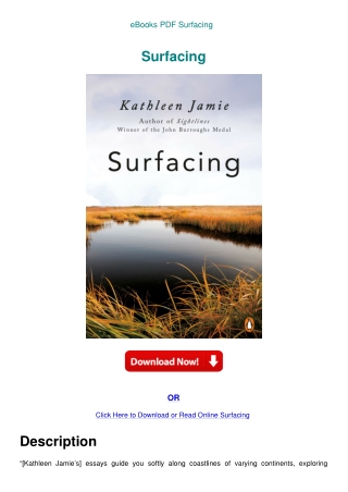 eBooks PDF Surfacing