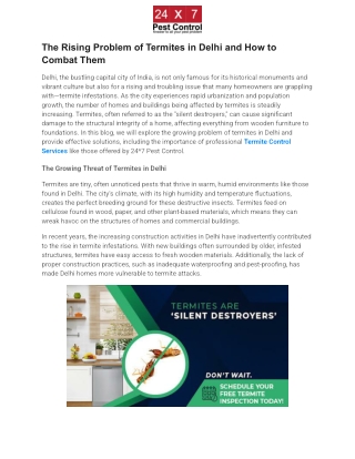 The Rising Problem of Termites in Delhi and How to Combat Them