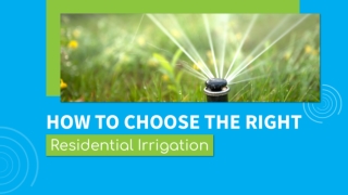 Optimize Your Lawn with Irrigation Systems